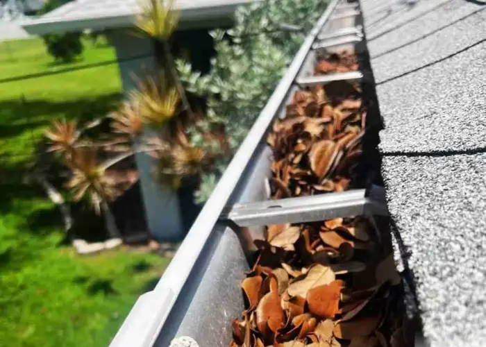 Gutter Cleaning Wilkinsburg home page