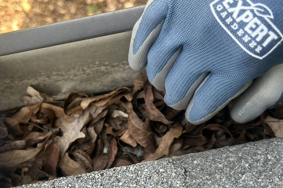 Gutter Cleaning Wilkinsburg