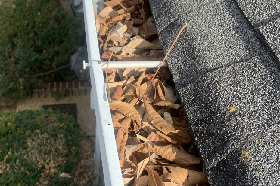 Gutter Cleaning Wilkinsburg