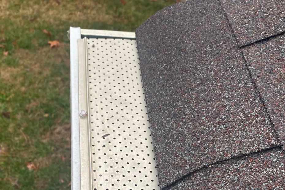 Gutter Cleaning Wilkinsburg